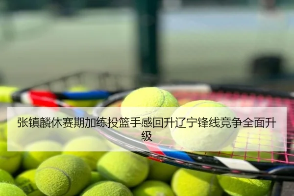 张镇麟休赛期加练投篮手感回升辽宁锋线竞争全面升级